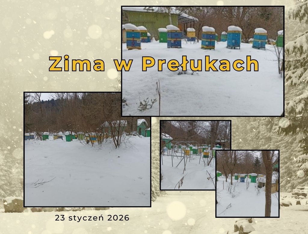 Zima w Prełukach