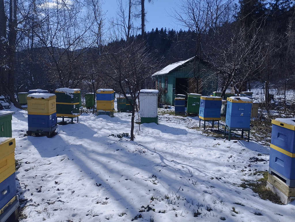 Powrót zimy w marcu 2025