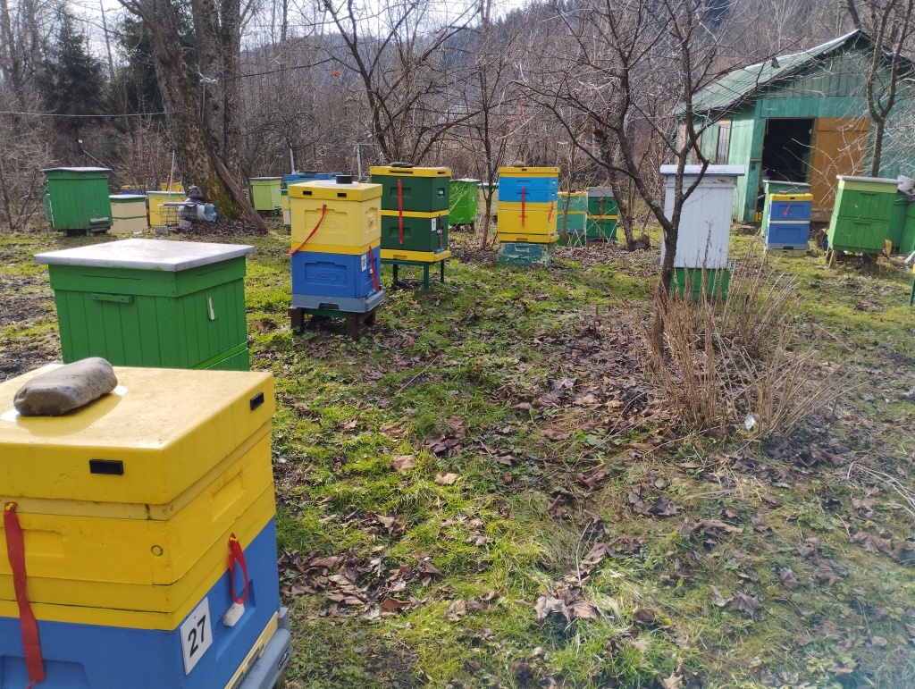Pierwsza wizyta w pasiece 29.01.2025