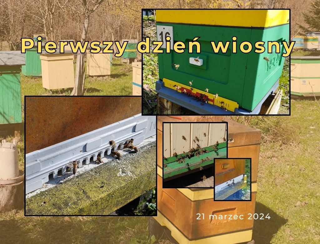 Pierwszy dzień wiosny