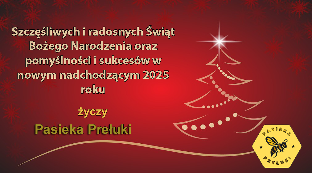 Boże Narodzenie 2024