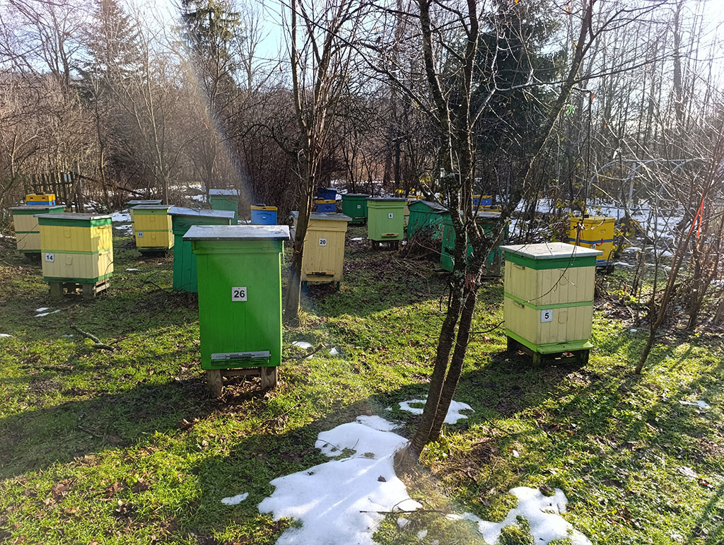 Zima w pasiece