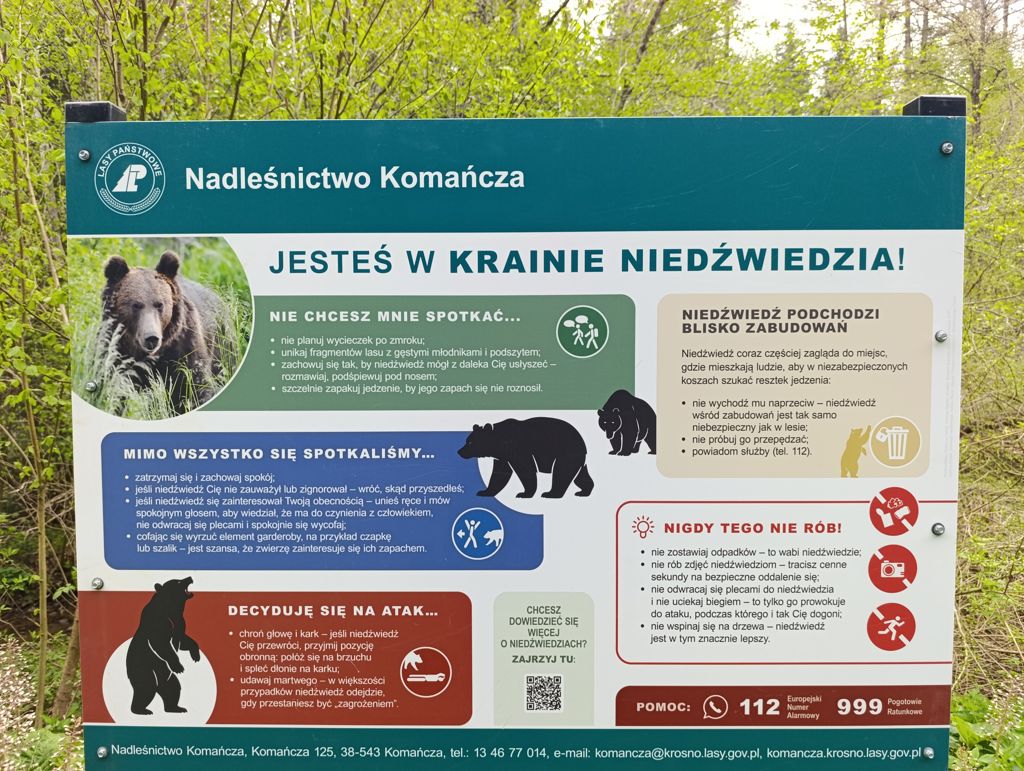 Kraina niedźwiedzia
