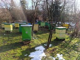 Po ataku zimy – 6 grudnia 2025